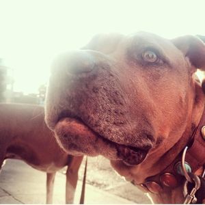 Meet your Posher, Marcella